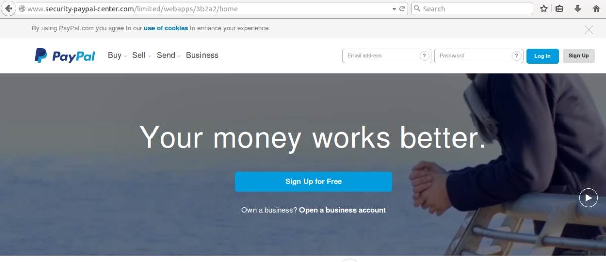 Websites visually identical to PayPal were taken offline 1 PayPal