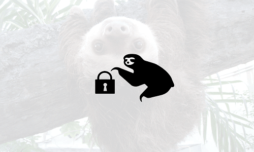 Νέα SLOTH επίθεση μειώνει την ασφάλεια των TLS και SSH πρωτοκόλλων