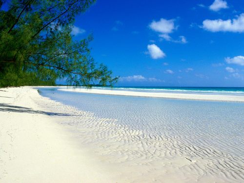 6 Apps to enjoy summer 1 tumblr_inline_mz1cup9xB61qa23i1-application-applications-App