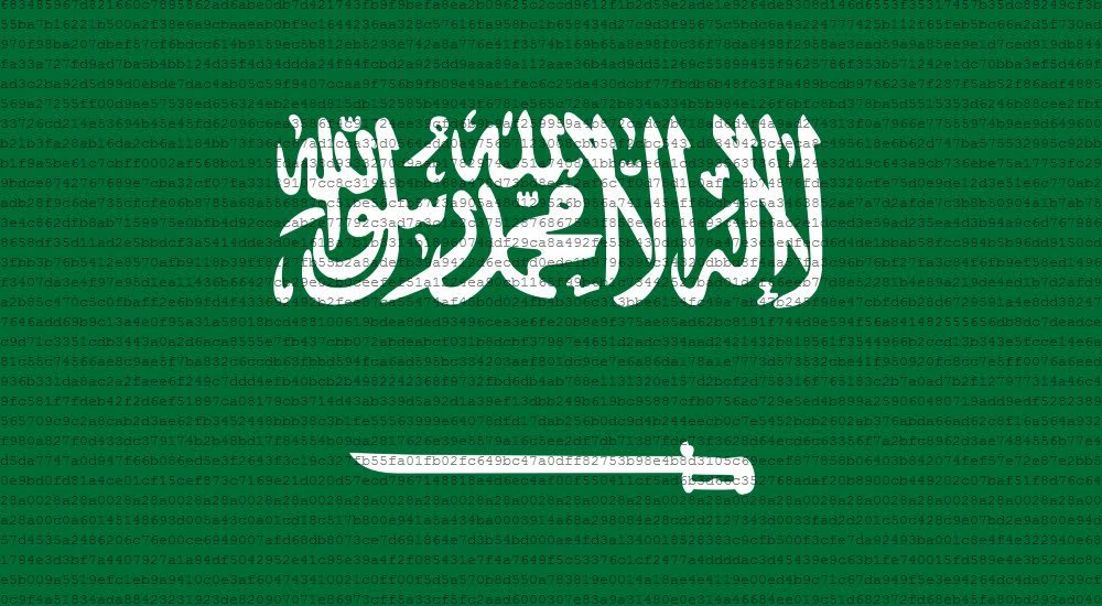 Emergency meeting in Saudi Arabia on hacking attacks 1 unnamed-Saudi