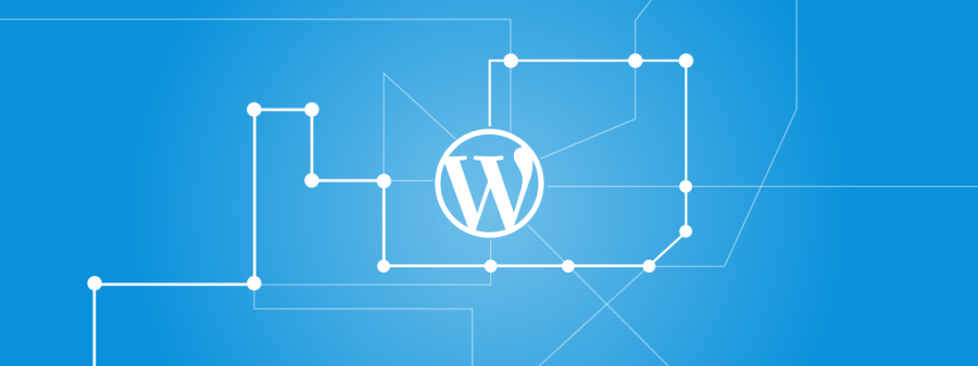 WordPress Learn the history of the most popular CMS 1 WordPress