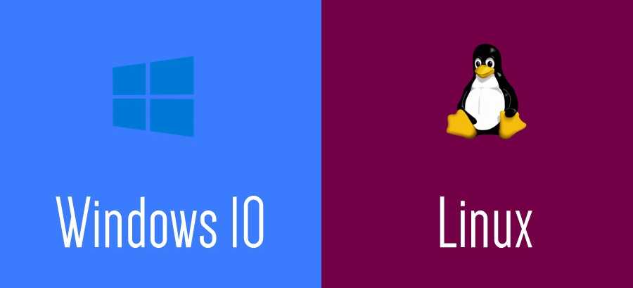 Windows & Linux: full access to Windows disk 1 Windows
