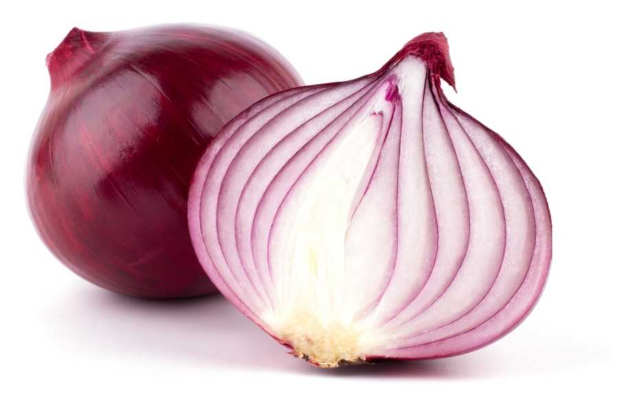 TOR όλα για το δίκτυο & μηχανές αναζήτησης 2 TOR όλα για το δίκτυο & μηχανές αναζήτησης