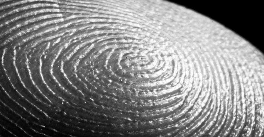 DeepMasterPrints: fingerprint passepartout! 1 DeepMasterPrints